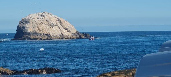 CALETAS DEL GRAN CONCEPCIÓN - Imagen 6