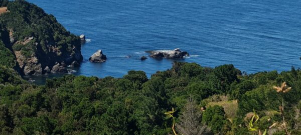 CALETAS DEL GRAN CONCEPCIÓN - Imagen 7