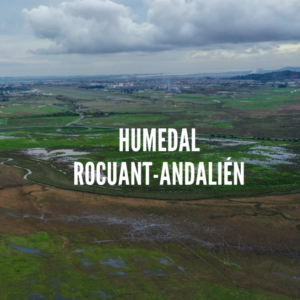 TOUR DE HUMEDALES URBANOS GRAN CONCEPCIÓN