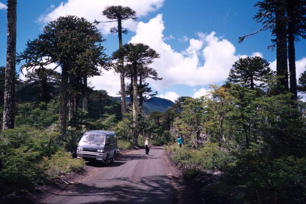 VILLARRICA / PUCÓN LAGOS Y CASCADAS - Imagen 4