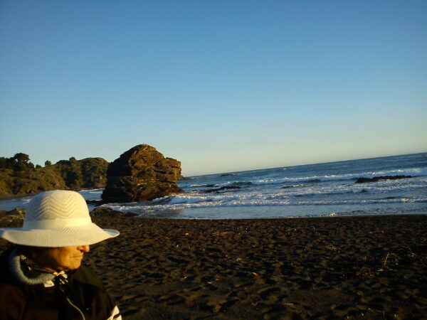 TOUR DE CALETAS PESQUERAS LLICO Y PUNTA LAVA PIE GOLFO DE ARAUCO - Imagen 8