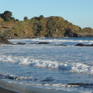 TOUR DE CALETAS PESQUERAS LLICO Y PUNTA LAVA PIE GOLFO DE ARAUCO