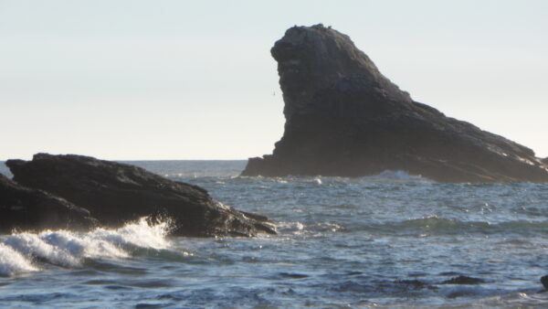 TOUR DE CALETAS PESQUERAS LLICO Y PUNTA LAVA PIE GOLFO DE ARAUCO - Imagen 5