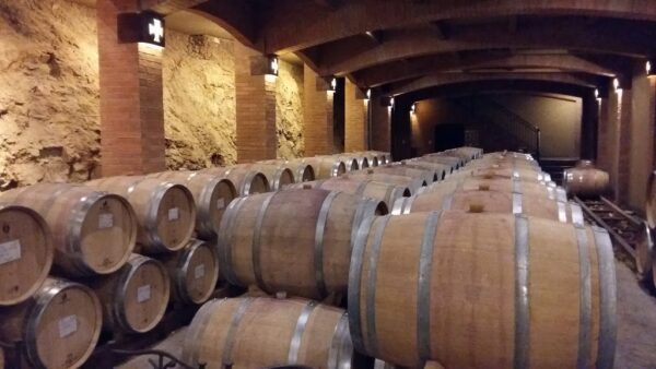 TOUR DE VIÑAS Y ARTESANIAS VALLE DEL ITATA Y VALLE DEL BIO BIO - Imagen 4