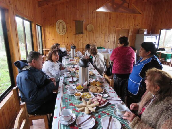 TOUR DE VIÑAS Y ARTESANIAS VALLE DEL ITATA Y VALLE DEL BIO BIO - Imagen 6