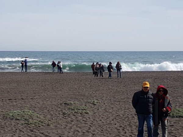 NINHUE CUNA DE PRAT Y COSTA COBQUECURA-BUCHUPERO - Imagen 7