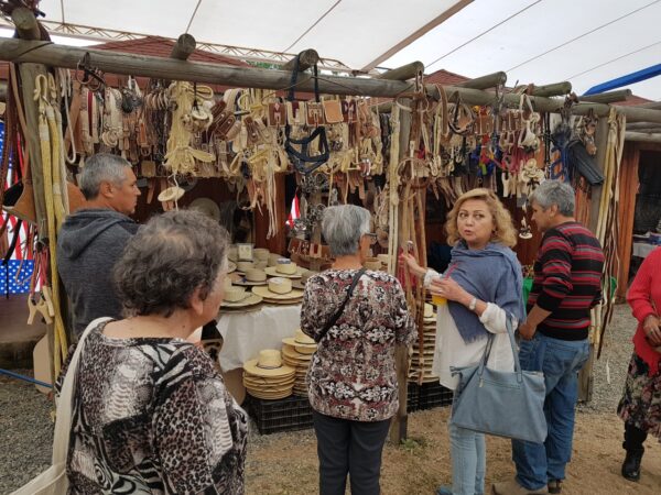 TOUR DE VIÑAS Y ARTESANIAS VALLE DEL ITATA Y VALLE DEL BIO BIO - Imagen 8
