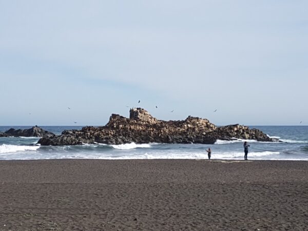 NINHUE CUNA DE PRAT Y COSTA COBQUECURA-BUCHUPERO - Imagen 2