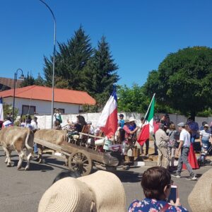 TOUR GASTRONÓMICO CAPITAN PASTENE Y CONTULMO