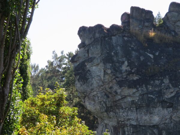 TOUR CARRETERA AUSTRAL - Imagen 3