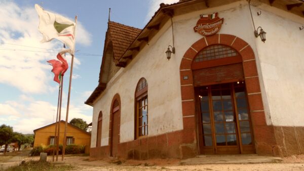TOUR GASTRONÓMICO CAPITAN PASTENE Y CONTULMO - Imagen 4