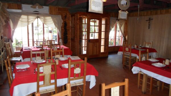 TOUR GASTRONÓMICO CAPITAN PASTENE Y CONTULMO - Imagen 10