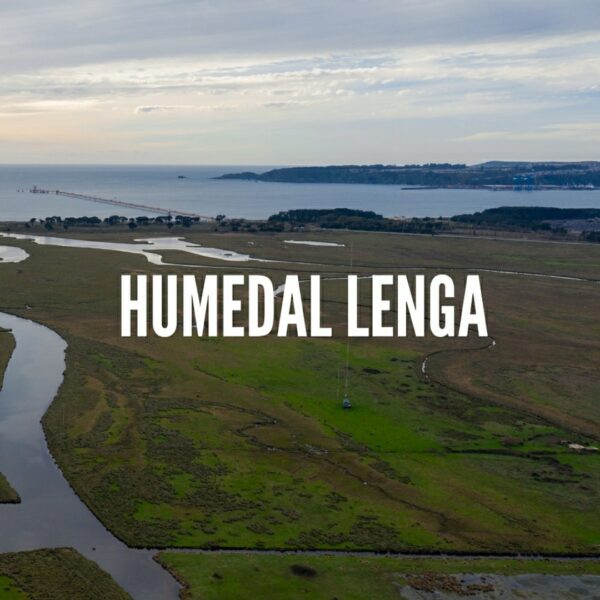 TOUR DE HUMEDALES URBANOS GRAN CONCEPCIÓN - Imagen 10