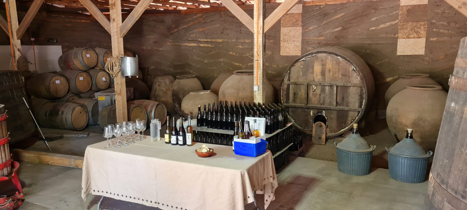 TOUR DE VIÑAS Y ARTESANIAS VALLE DEL ITATA O VALLE DEL BIO BIO - Imagen 7