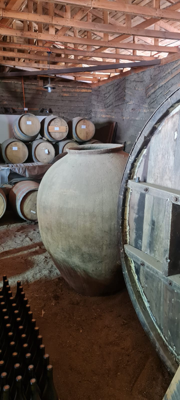TOUR DE VIÑAS Y ARTESANIAS VALLE DEL ITATA O VALLE DEL BIO BIO - Imagen 9