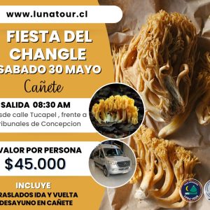 FIESTAS COSTUMBRISTAS DE LA REGIÓN DEL BIO BIO