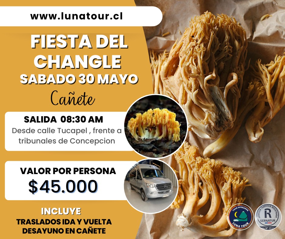 FIESTAS COSTUMBRISTAS DE LA REGIÓN DEL BIO BIO