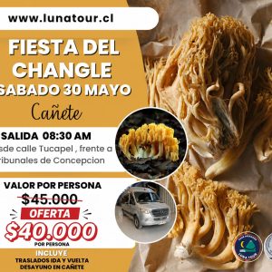 FIESTAS COSTUMBRISTAS DE LA REGIÓN DEL BIO BIO