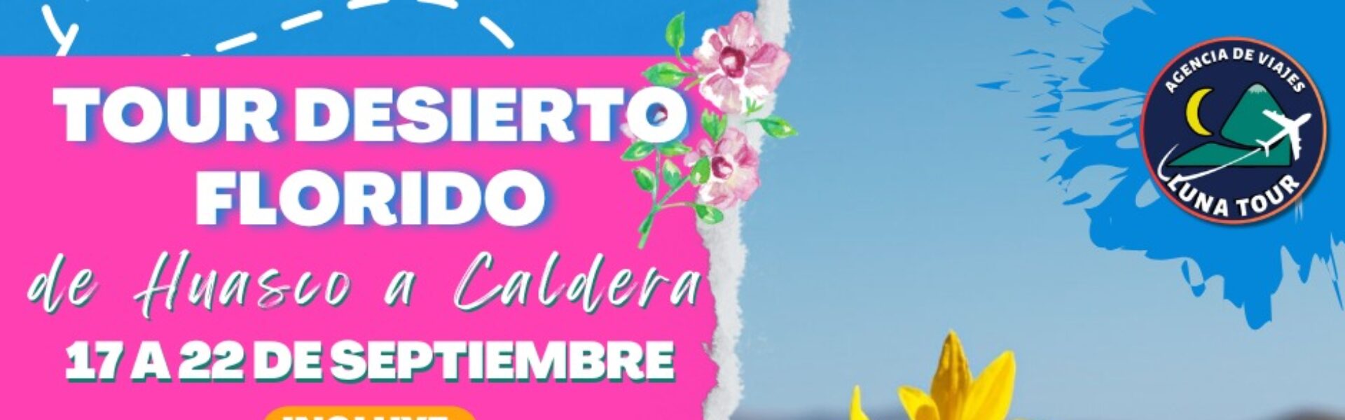 DEDIERTO ATACAMA thumbnail