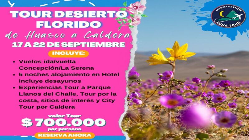 DEDIERTO ATACAMA thumbnail